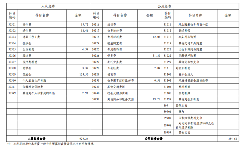 2021年度开云网页版本级决算