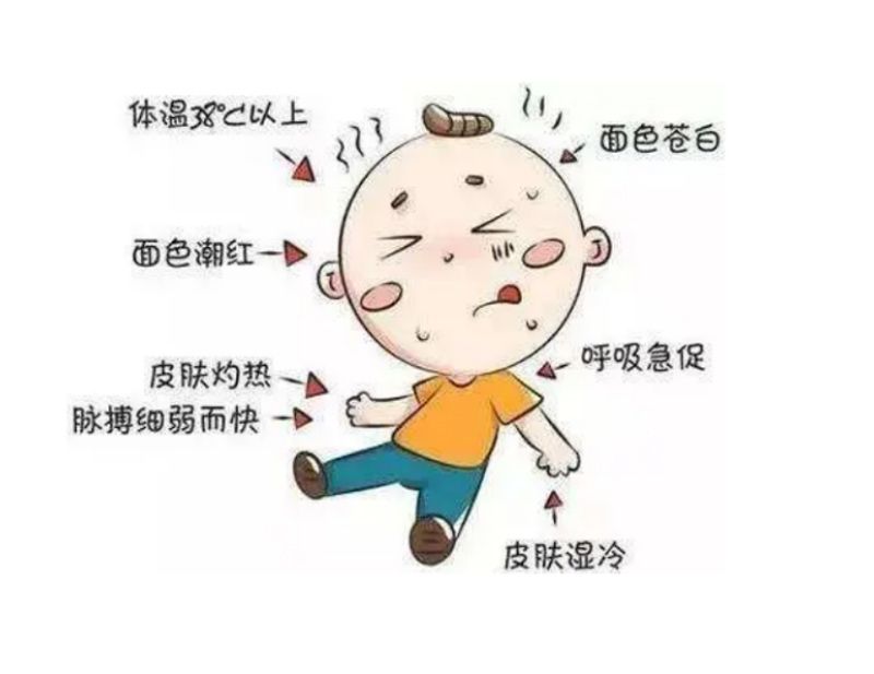 开云网页版 夏日防暑指南：守护健康，清凉一夏